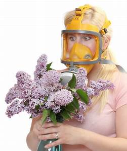Woman wearing large yellow mask holding a bouquet of lilacs Maple Grove