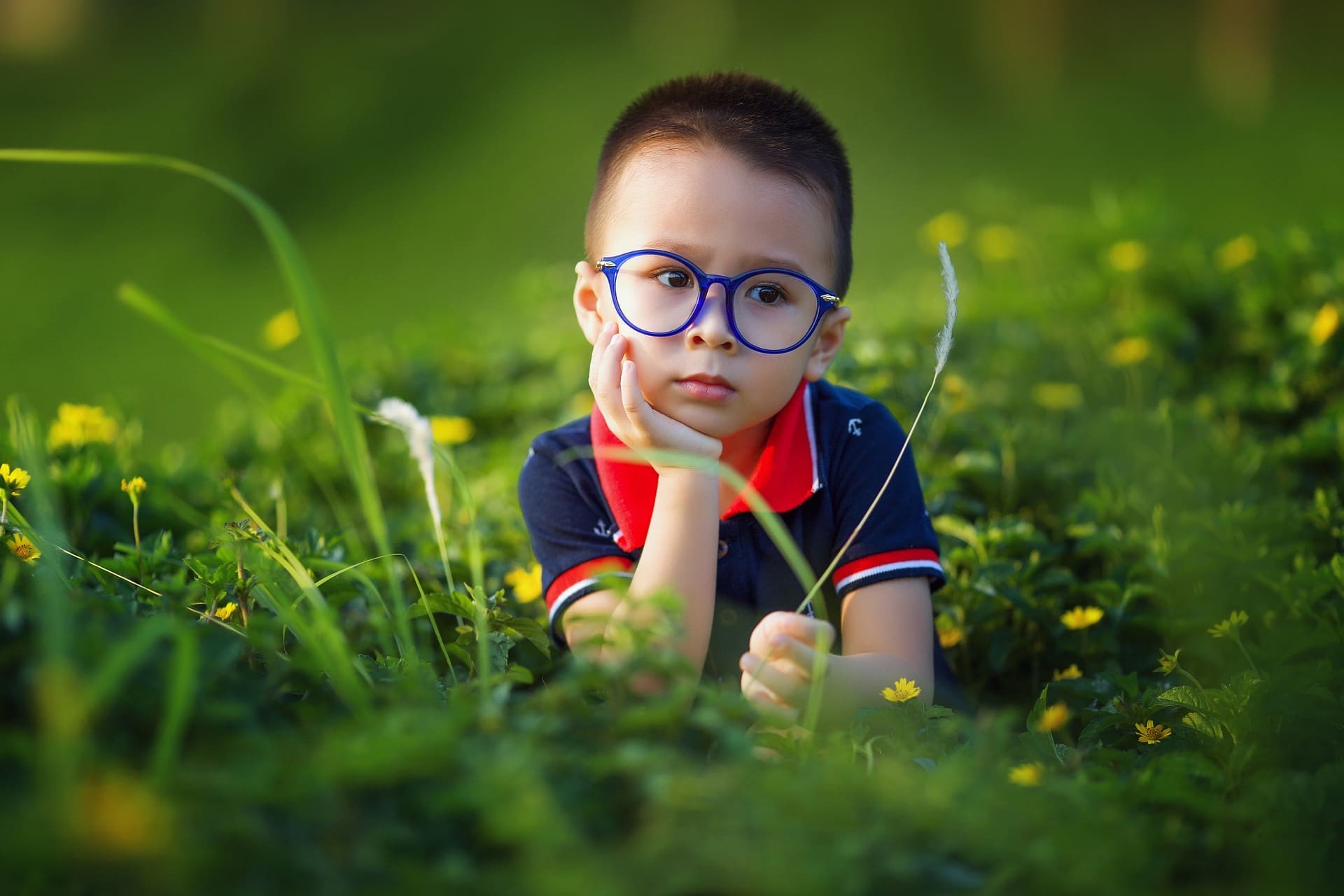 Young Boy with Glasses because he has Myopia Maple Grove Eye Doctors at Pearle Vision