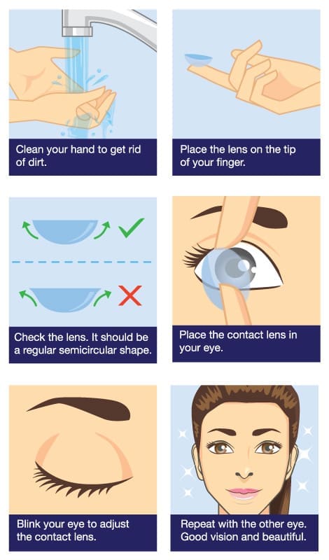 Contact Lens Insertion Infographic Maple Grove Eye Doctors
