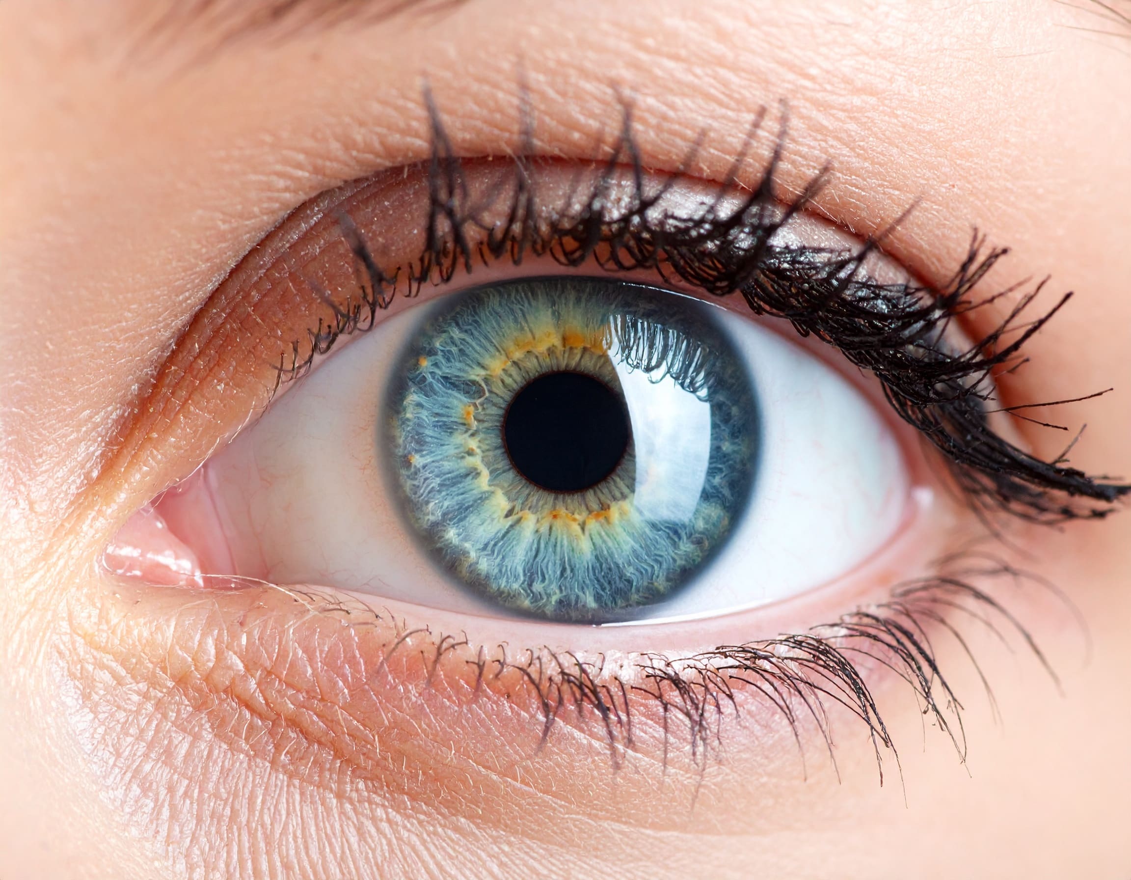 closeup of blue eyeball Maple Grove Eye Doctors at Pearle Vision